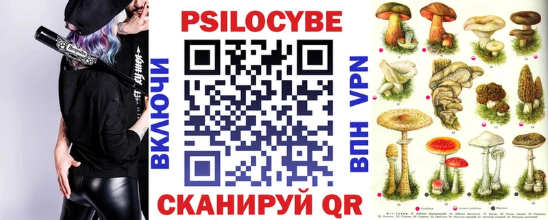 купить наркоту  Павловск  кракен вход  Галлюциногенные грибы мицелий 