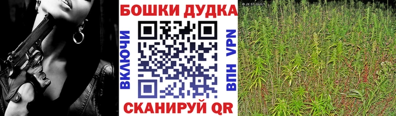 что такое наркотик  KRAKEN ССЫЛКА  МАРИХУАНА сатива  Павловск 